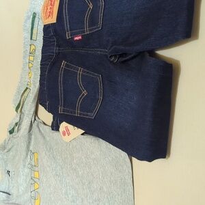 Levi's Kids Gray and Blue Set